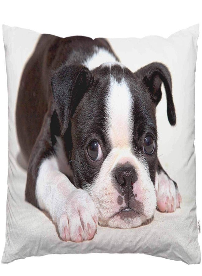 EKOBLA Throw Pillow Cover Boston Terrier Dog Dog Lovely Animal Art Cute Funny Pet Puppy Portrait Style Decor Lumbar Pillow Case Cushion for Sofa Couch Bed Standard Queen Size 20x30 Inch - Image 1