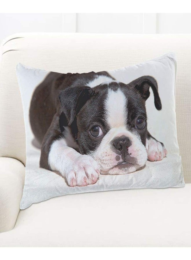EKOBLA Throw Pillow Cover Boston Terrier Dog Dog Lovely Animal Art Cute Funny Pet Puppy Portrait Style Decor Lumbar Pillow Case Cushion for Sofa Couch Bed Standard Queen Size 20x30 Inch - Image 5