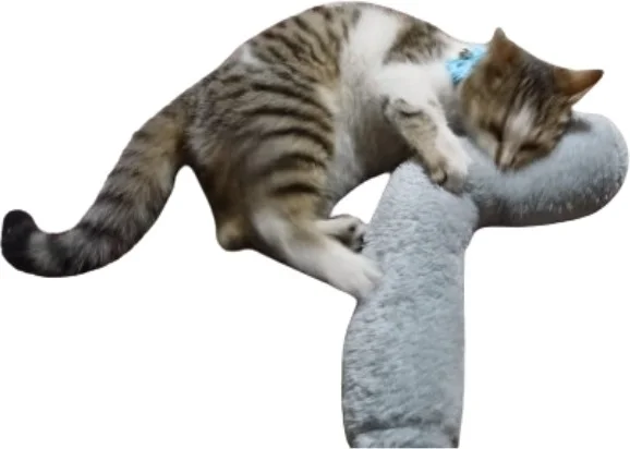 Tineke Cat Toy Hugging Pillow Sleeping Toy Cat Grass 30 cm Plush (1 Piece