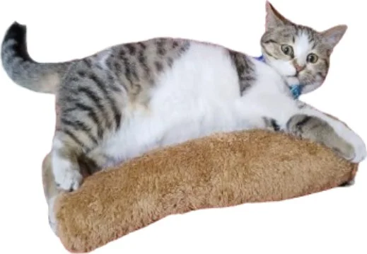 Tineke Cat Toy Hugging Pillow Sleeping Toy Cat Grass 30 cm Plush (1 Piece