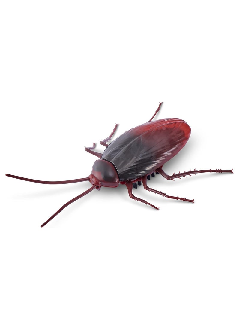 ROBO ALIVE Zuru ROBO ALIVE CRAWLING COCKROACH  - Image 5