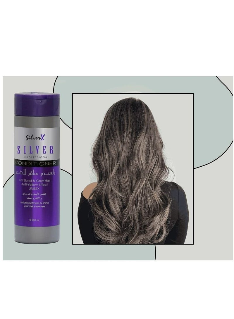 SilverX For Blonde, Ash, Light hair treatment color corrector purple, SALT&SULFATE FREE 350ml - Image 4