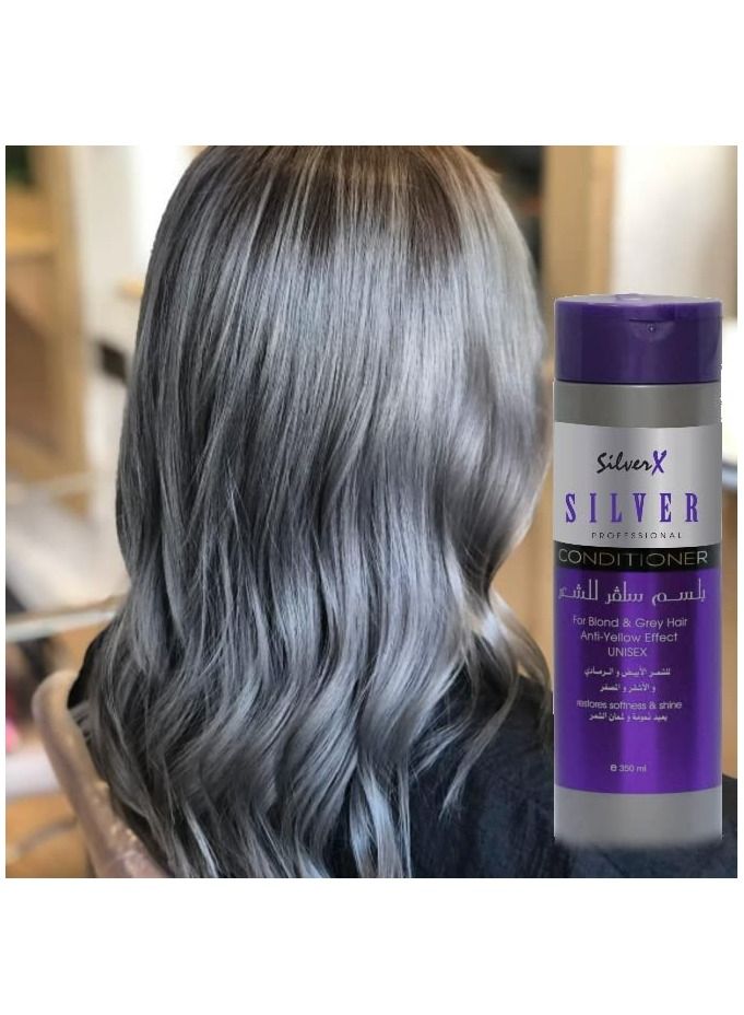 SilverX For Blonde, Ash, Light hair treatment color corrector purple, SALT&SULFATE FREE 350ml - Image 3