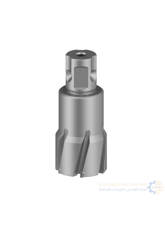 BOSCH Magnetic bit length 3.5 cm x 32 mm Bosch