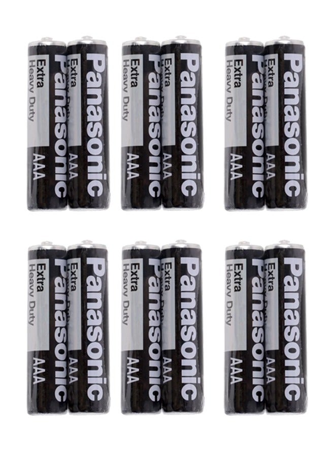 Panasonic 12 Pieces Extra Heavy Duty AAA Batteries