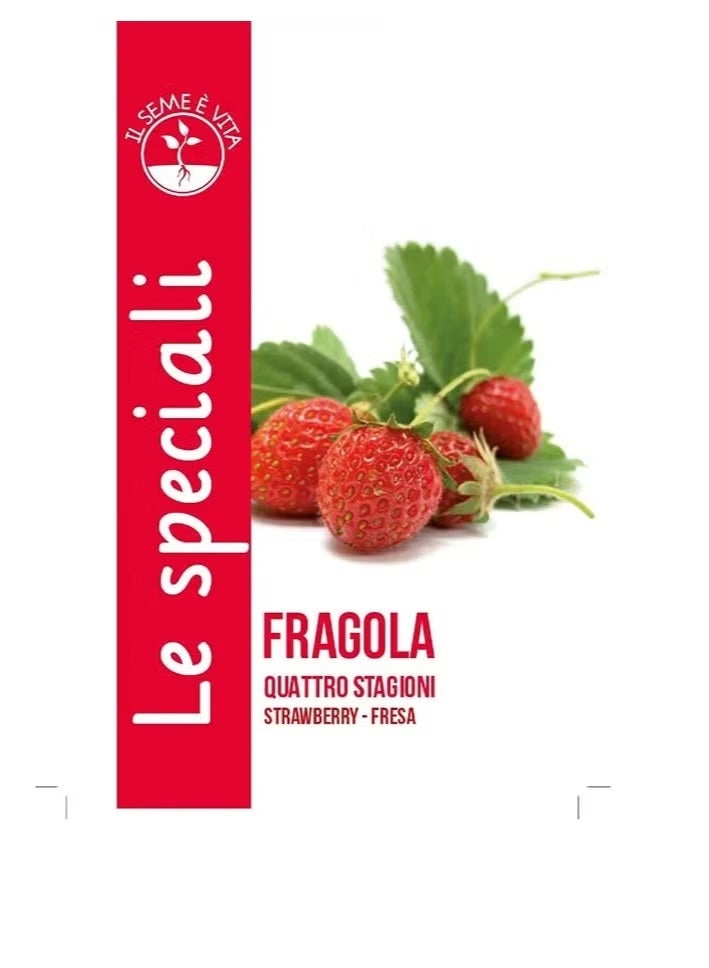 بذور الفراولة عالية الجودة من ليبن مصنوعة في إيطاليا