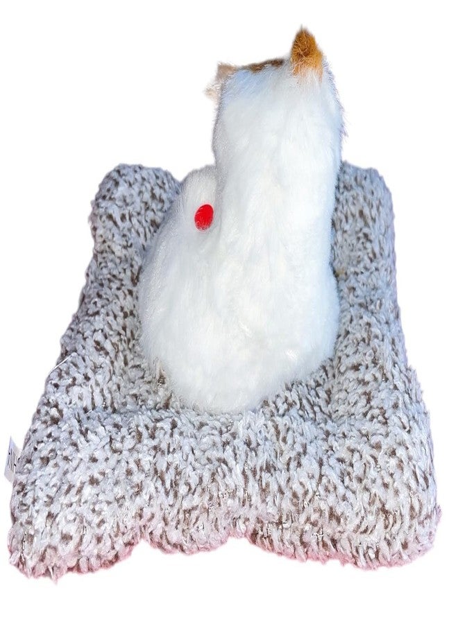 kunya® Open Eye Cat Plush Toy with Press Simulation Sound, Open Eye Cat Stuffed Animal Toys with Sound for Kids Car Dashboard & Office Desk Decoration (Multi) - Image 3