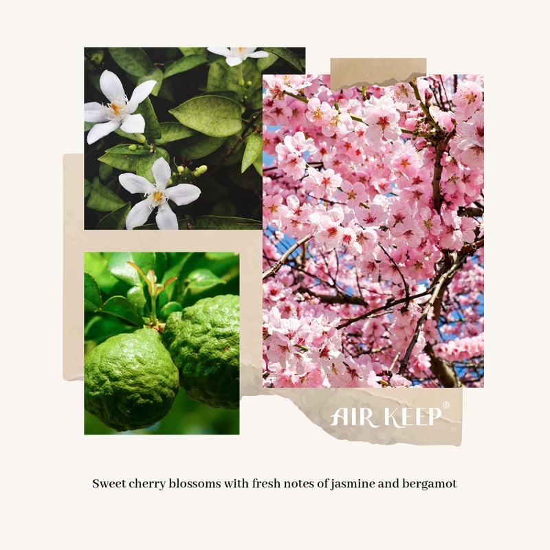 Airkeep Reed Diffuser Set, 3.38 fl oz (100 ml) - Cherry Blossom Oil Diffusers with 8 Reed Sticks, Home Fragrance Reed Diffuser for Bathroom Shelf Decor - Image 2