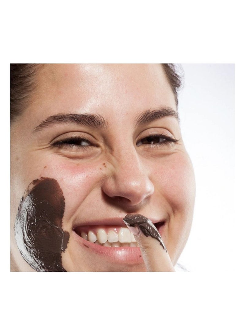 FarmHouse Fresh - Farmhouse Fresh Sundae Best Chocolate Mask – 4oz.Skin Softening Face Mask, Gluten-Free, Sulfate-Free Face Mask with Royal Jelly Extract and Almond Oil - Image 1