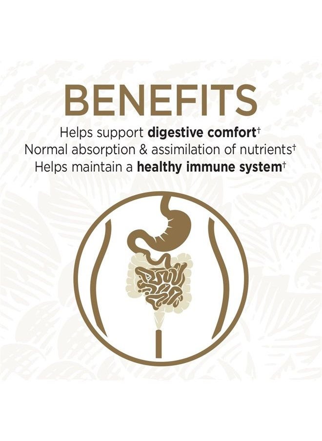 Garden of Life - Primal Defense Ultra Ultimate Probiotic Formula - 15 Billion CFU and 13 Strains of Probiotics Plus HSOs for Healthy Digestive Balance, Vegetarian and Gluten Free, 90 Capsules - Image 1