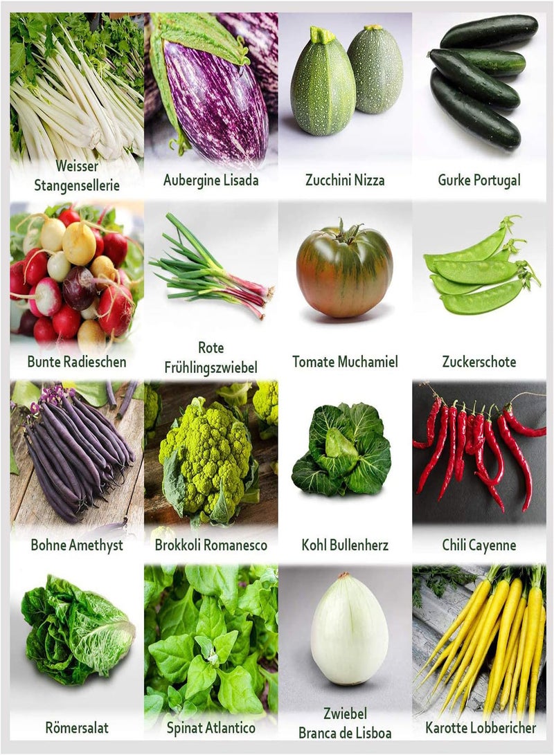 GGOOT Garden Vegetable Seeds Set - 16 Varieties-Kit with Over 500 Seeds for Planting, 100% Natural, gradening, Heirloom Seeds, Vegetable Seed Mix for Garden and Balcony