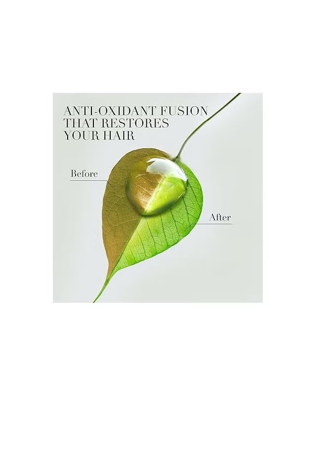 هربل إيسنسز هيربل اسنسز شامبو لترطيب بحليب جوز الهند 400 مل - Image 3