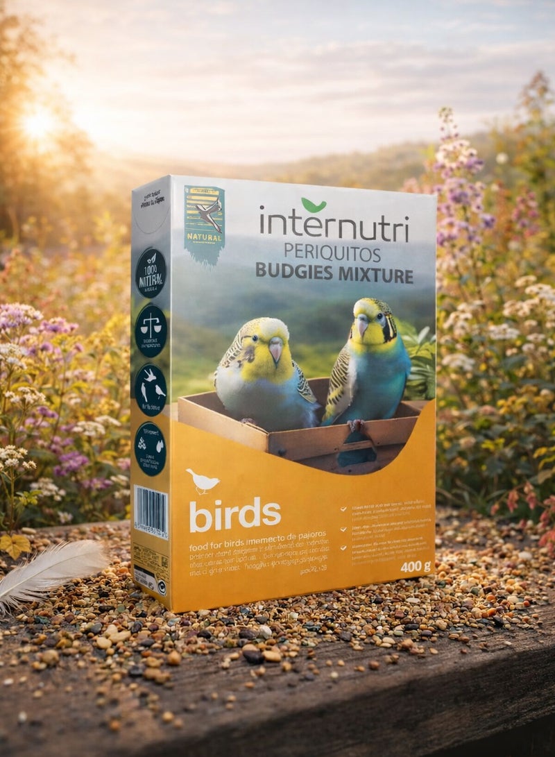 خليط لطعام طيور البادجي – مزيج بذور متكامل للباراكيت – تغذية طبيعية ومتوازنة – طعام طيور – 400 جم