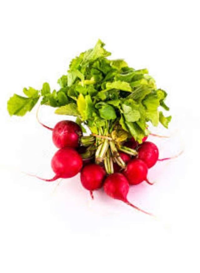 Red Radish, With Leaves - 70g to 80g , UAE