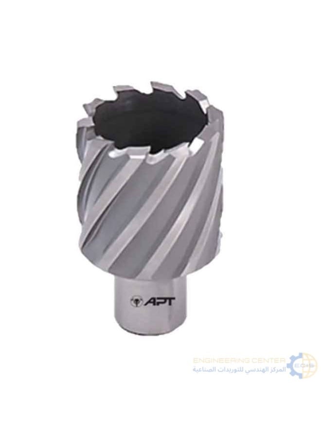Apt Magnetic bit 50mm x 3cm APT HSS-XE 