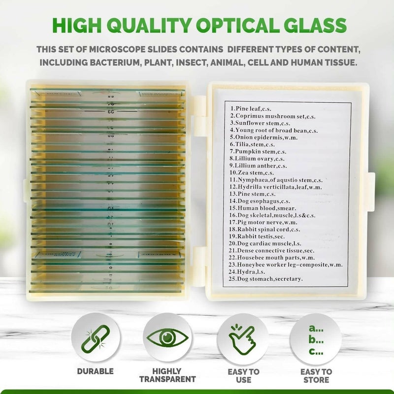 AmScope 25 قطعة شرائح ميكروسكوب زجاجية جاهزة في علبة بلاستيكية مع عينات من النباتات والفطريات والحشرات والثدييات - Image 2