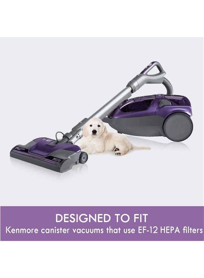 Kenmore 62731 HEPA Media Vacuum Cleaner Exhaust Air Filter for Canister Vacuum 81615 - Image 2