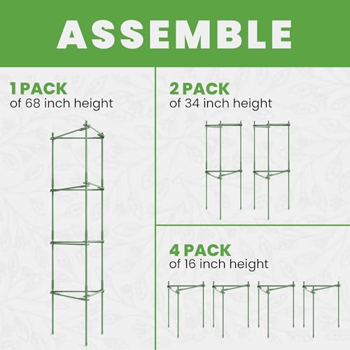 K-Brands Tomato Cage – Premium Tomato Plant Stakes Support Cages Trellis for Garden and Pots (Upto 68 Inches Tall) - Image 3