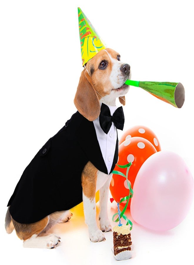 PUMYPOREITY Medium Dog Bowtie Tuxedo Suit, Wedding Outfit for Cats and Dogs, Bandana Set for Chihuahua, Boston Terrier, Bichon, Corgi, Pomeranian, 2 Pieces/Pack, M, Black - Image 4