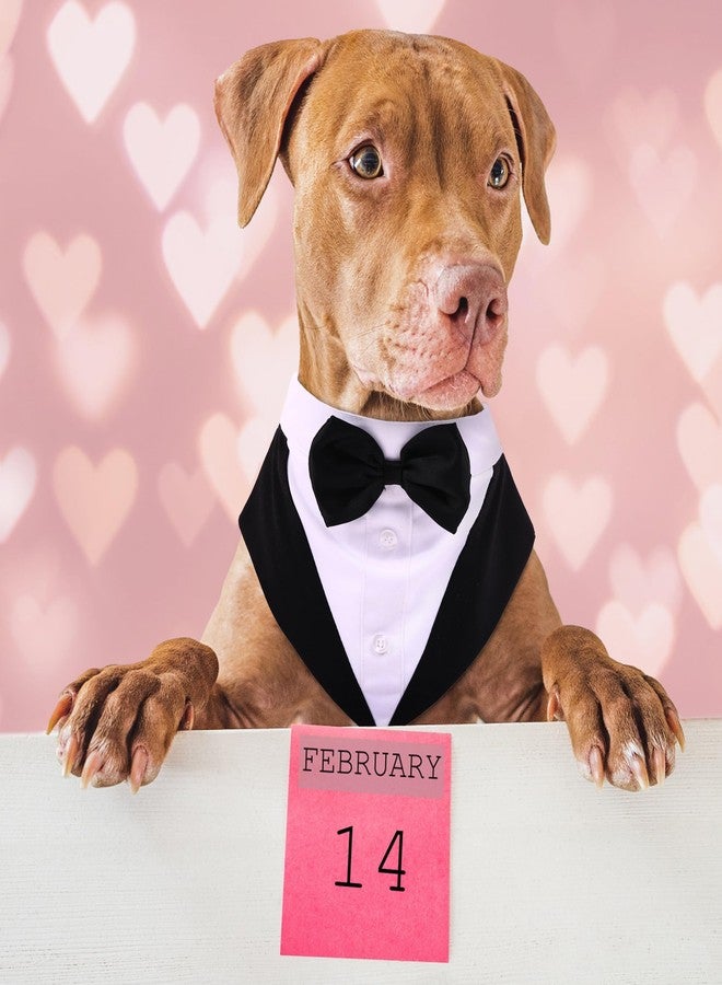 PUMYPOREITY Medium Dog Bowtie Tuxedo Suit, Wedding Outfit for Cats and Dogs, Bandana Set for Chihuahua, Boston Terrier, Bichon, Corgi, Pomeranian, 2 Pieces/Pack, M, Black - Image 2