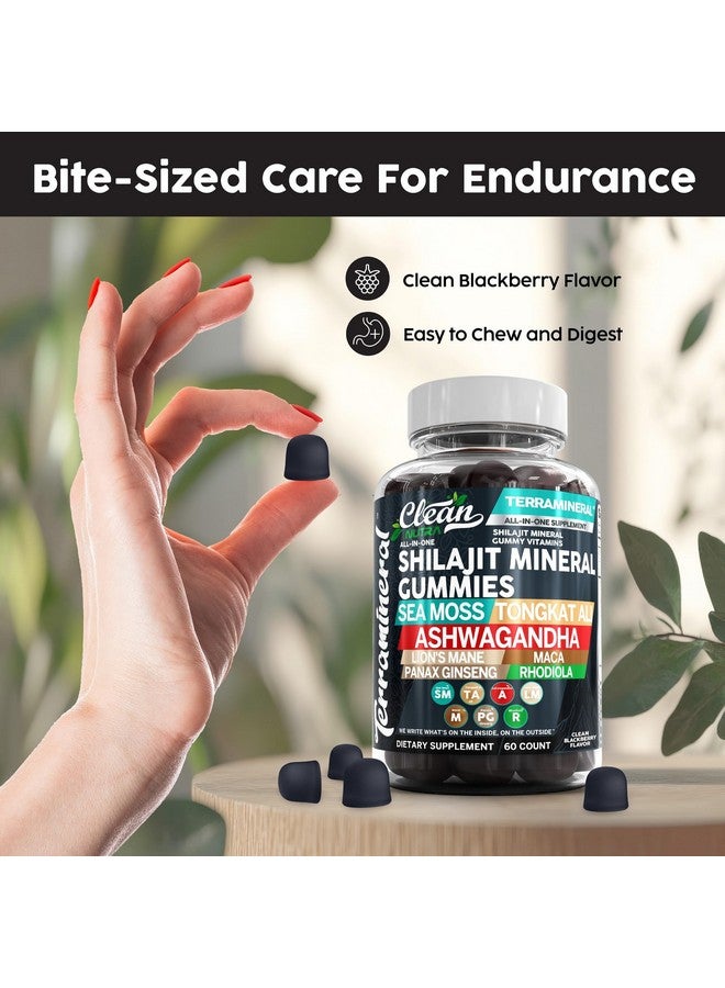 Clean Nutraceuticals Terramineral Shilajit Gummies with Irish Sea Moss Tongkat Ali Ashwagandha Lion's Mane MACA Panax Ginseng Rhodiola & Cordyceps by Clean Nutra (1) - Image 5