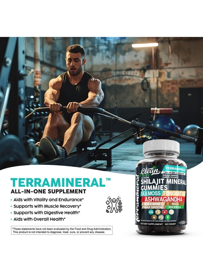 Clean Nutraceuticals Terramineral Shilajit Gummies with Irish Sea Moss Tongkat Ali Ashwagandha Lion's Mane MACA Panax Ginseng Rhodiola & Cordyceps by Clean Nutra (1) - Image 3