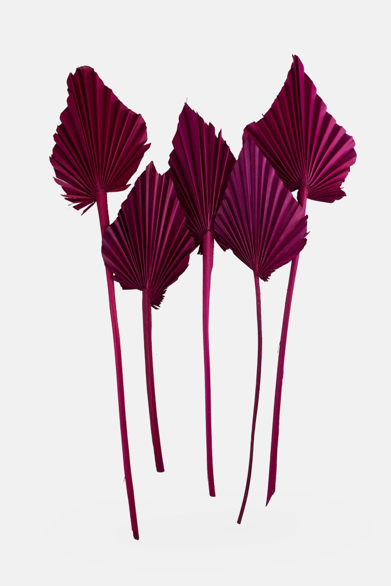 Muy Mucho Palm Spear, Purple - Image 1
