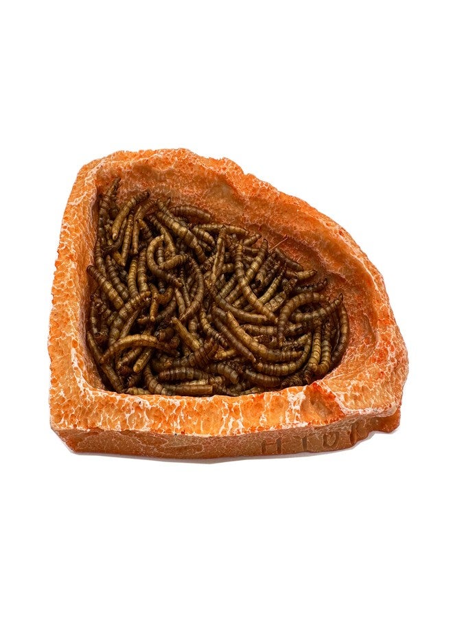 CATENEED 2 Pack Corner Reptile Water Dish Food Bowl Bearded Dragon Bowls, Reptile Food Bowl for Hermit Crab Bearded Dragon Lizard Gecko Frog Tortoise - Image 4