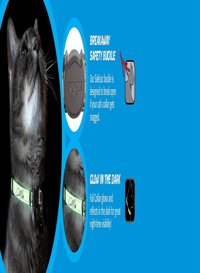Rogz Glowcat Cat Collar with Safety Buckle Kitten/x-Small - Blue - Image 4