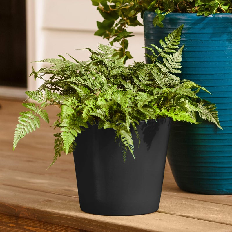 KRYLON 12 Oz Krylon K02702007 Black Fusion All-In-One Paint & Primer Spray Paint Gloss - Image 5