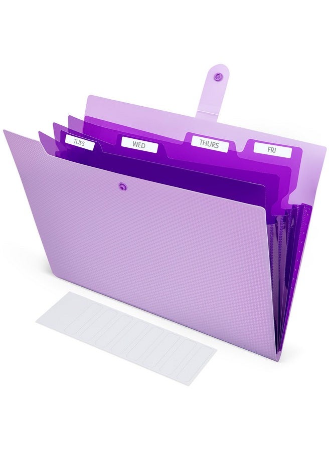 Essex Wares - Light Purple, 5 Pocket Expanding File Folder, 9.8" X 13" - 5 Pocket Folder For Documents With Textured Exterior - Expandable File Folder With Snap Closure - Fits 8.5" X 11" Letter Paper  - Image 1