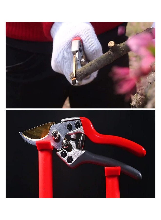 NIBEMINENT Hand Pruners, Gardening Tools (Max Cutting Size:1.8 cm) Multicolour 27x9x3cm  - Image 5