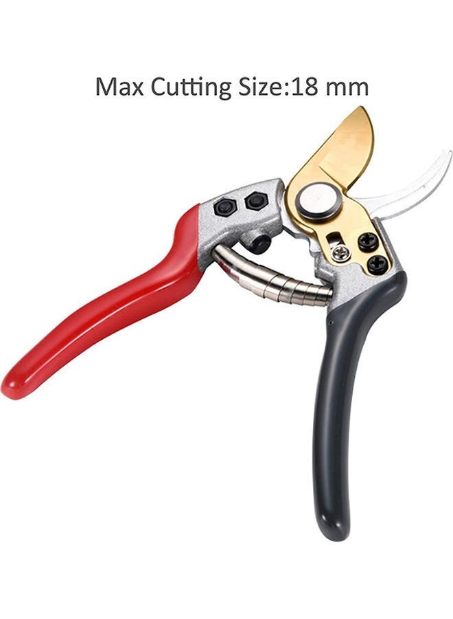 NIBEMINENT Hand Pruners, Gardening Tools (Max Cutting Size:1.8 cm) Multicolour 27x9x3cm  - Image 3