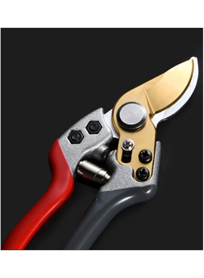 NIBEMINENT Hand Pruners, Gardening Tools (Max Cutting Size:1.8 cm) Multicolour 27x9x3cm  - Image 4