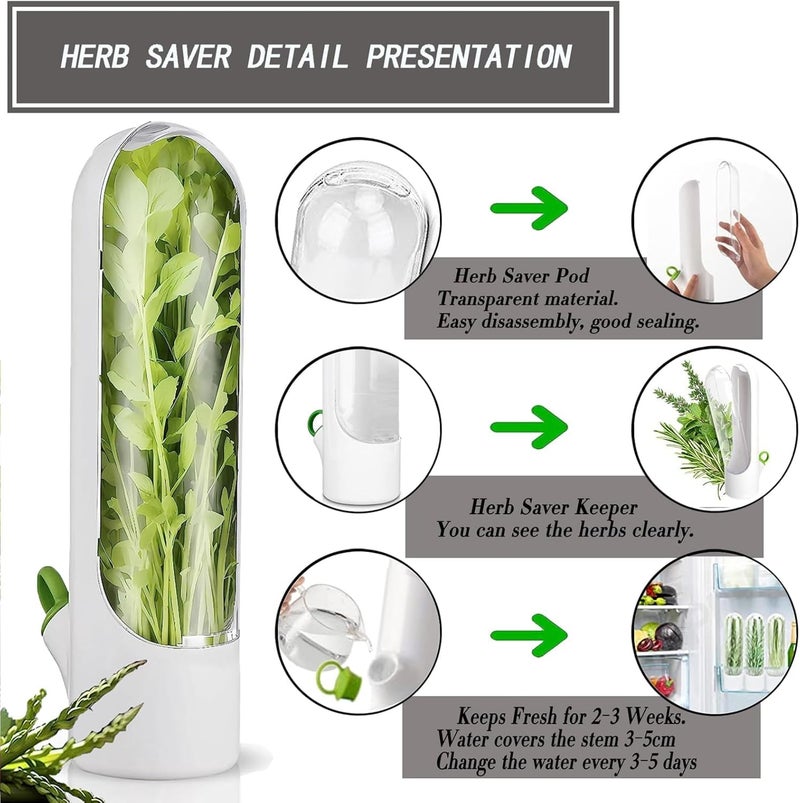 VIHM Herb Saver Herb Storage Containers For RefrigeratorCilantro Containers for Refrigerator Fresh Herb Keeper for Cilantro Parsley Asparagus Mint Keeps Vegetables for 23 Week 3 - Image 4