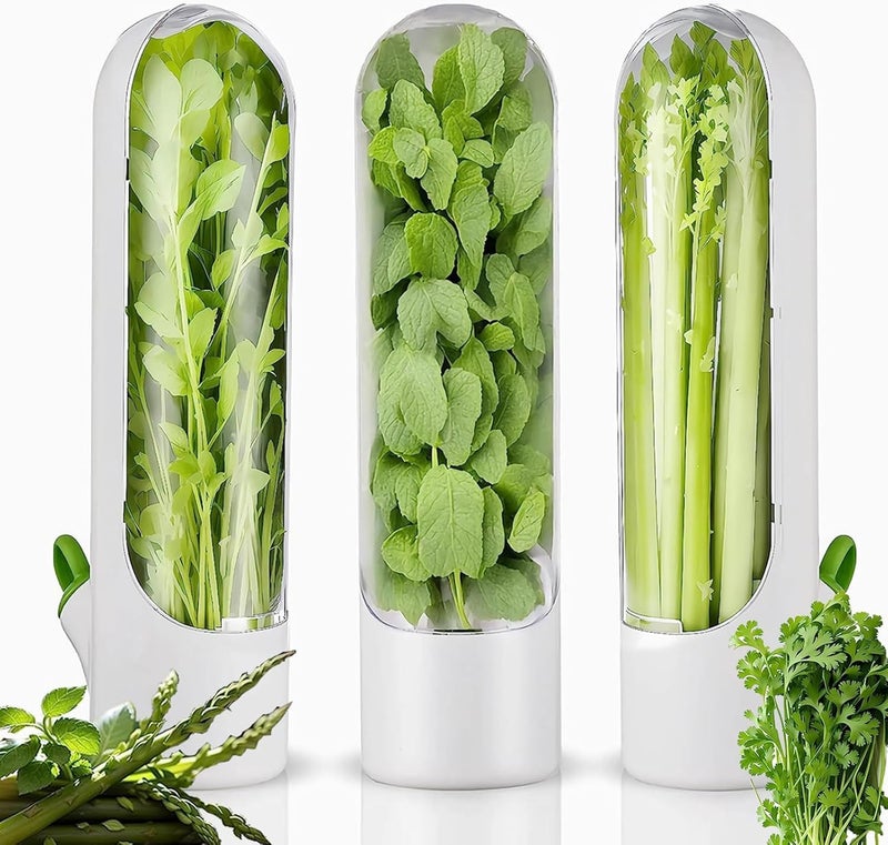 VIHM Herb Saver Herb Storage Containers For RefrigeratorCilantro Containers for Refrigerator Fresh Herb Keeper for Cilantro Parsley Asparagus Mint Keeps Vegetables for 23 Week 3 - Image 1