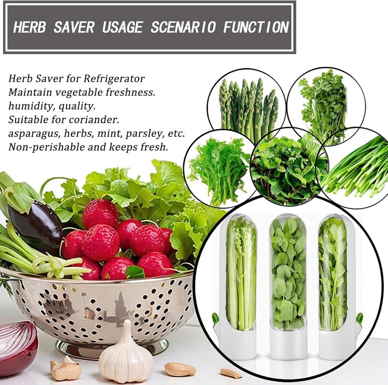 VIHM Herb Saver Herb Storage Containers For RefrigeratorCilantro Containers for Refrigerator Fresh Herb Keeper for Cilantro Parsley Asparagus Mint Keeps Vegetables for 23 Week 3 - Image 2