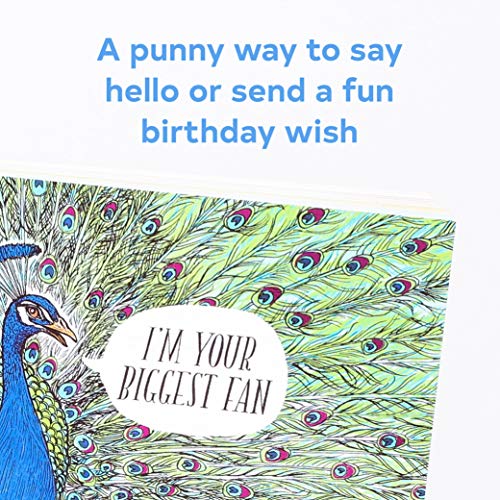 Chronicle Books Have a Little Pun: 30 Postcards: (Illustrated Postcards, Book of Witty Postcards, Cute Postcards) - Image 3