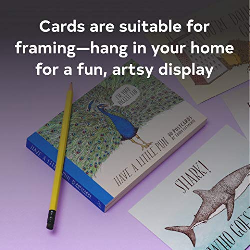 Chronicle Books Have a Little Pun: 30 Postcards: (Illustrated Postcards, Book of Witty Postcards, Cute Postcards) - Image 2