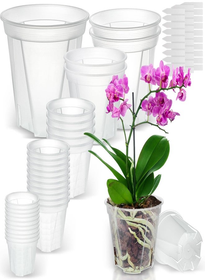 VIOBEPASS Clear Nursery Pots with Drainage 30 Pack, 10"/8.5"/7"/6"/5"/4" Plastic Orchid Nursery Pots for Plants with 30 Plant Labels for Seedling Plant, 6 Sizes Flower Pots Variety for Indoor Outdoor Repotting - Image 1