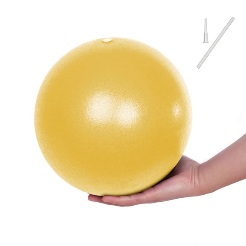 Fsawdnn Fsadwnn Exercise Ball SmallPilates Ball 9 Inch CoreSmall Exercise with PumpBarre Mini Bender Ball Pilates Yoga Workout Bender Core Training and Physical Therapy - Image 2