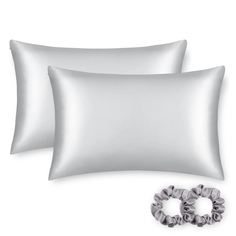 ألاسكا بير دب دب حرير وسادة للشعر ومجموعة الجلد من 2 نقي نقي 22 Momme Mulberry Silk Pillow Cases Size Size for Bliss Betting أفضل من إغلاق ساتين بولي ساتين (2pc الفضة) - Image 1