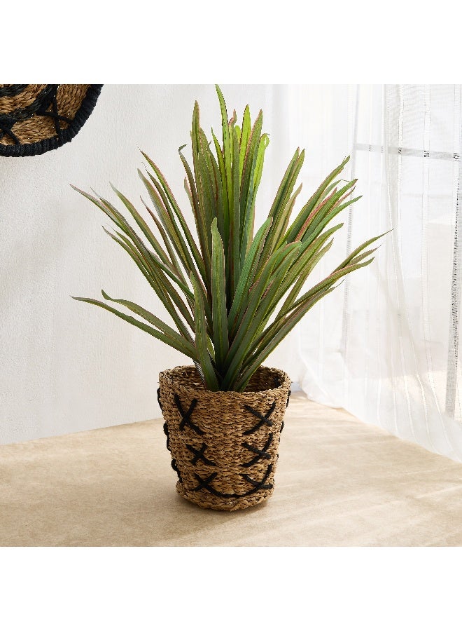 Home Box Naturaloom Sea Grass Conical Planter - 25x25x20 cm  - Image 1