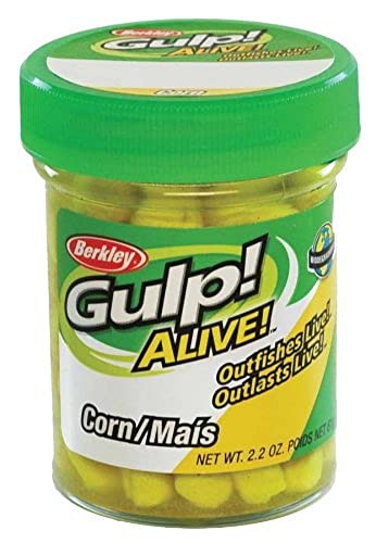 Berkley Gulp! Alive! Corn Fishing Bait, Yellow, Extreme Scent Dispersion, Great Replacement for Natural Corn, Ideal for Trout, Bass, Crappie, Catfish and More - Image 3