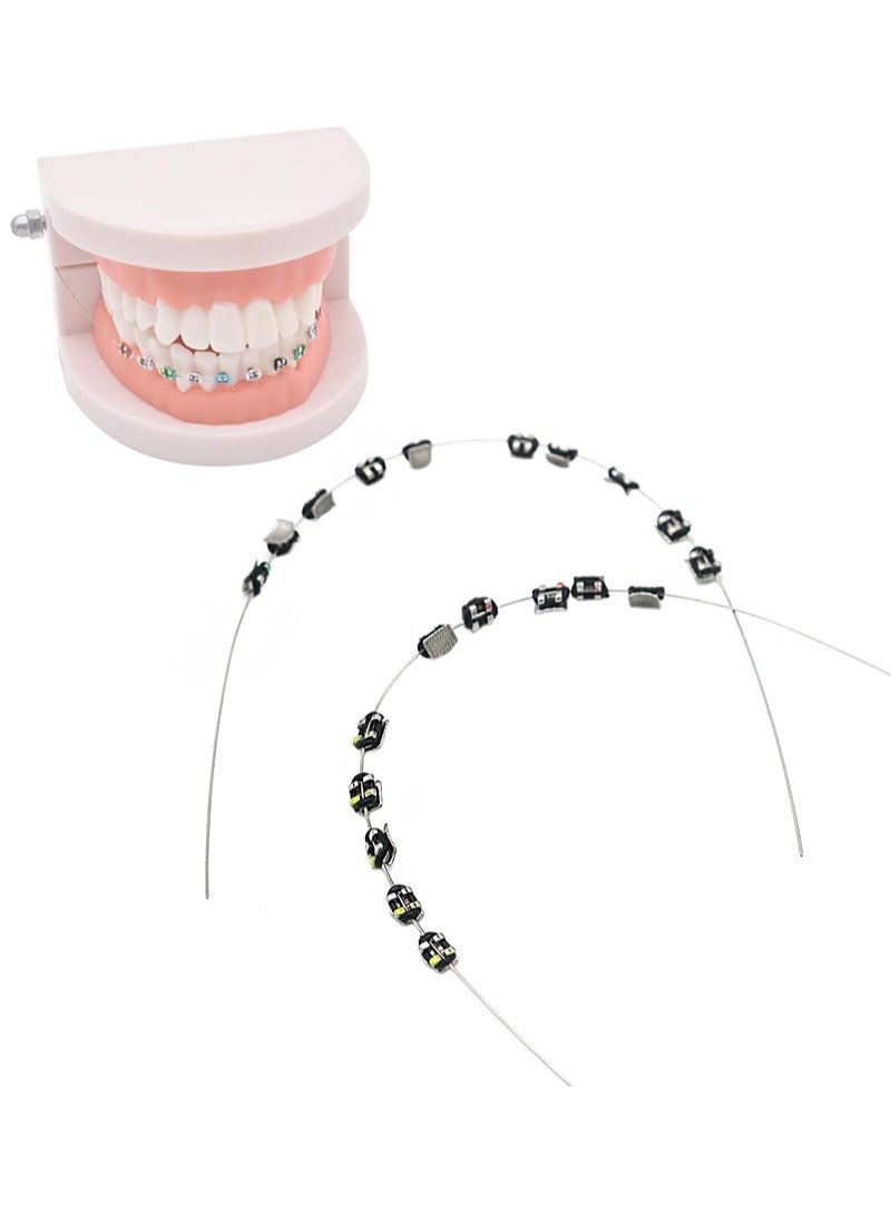 هالونهي زينة مؤقتة للأسنان بأسلاك معدنية، وقوس معدني، وربطات تقويم الأسنان، ودعائم تدريب لطلاب طب الأسنان (أسود) - Image 1