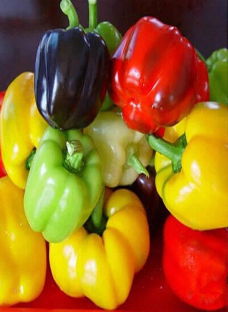 GGOOT 100Pcs/Bag Hot Pepper Seeds for Planting, Sweet Non-GMO Multi-Colors Seasoning Garden Seeds for Courtyard Easy to Plant,Gardening,Home Decor - Yellow Hot Pepper Seeds - Image 1