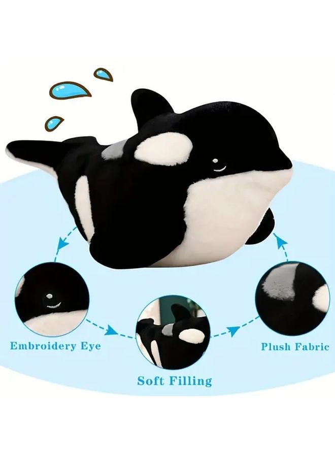 Small Killer Whale Plush Toy Soft Stuffed Animal Embroidered Eye Fluffy Home Decor Gift - Image 5