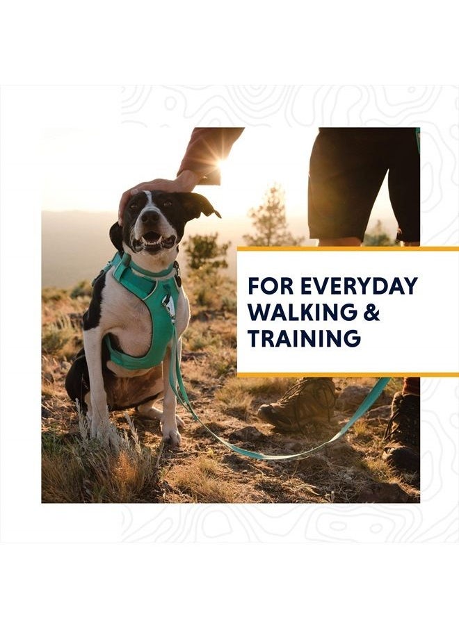 RUFFWEAR , Front Range Dog Harness, Reflective and Padded Harness for Training and Everyday, Aurora Teal, Large/X-Large  - Image 2
