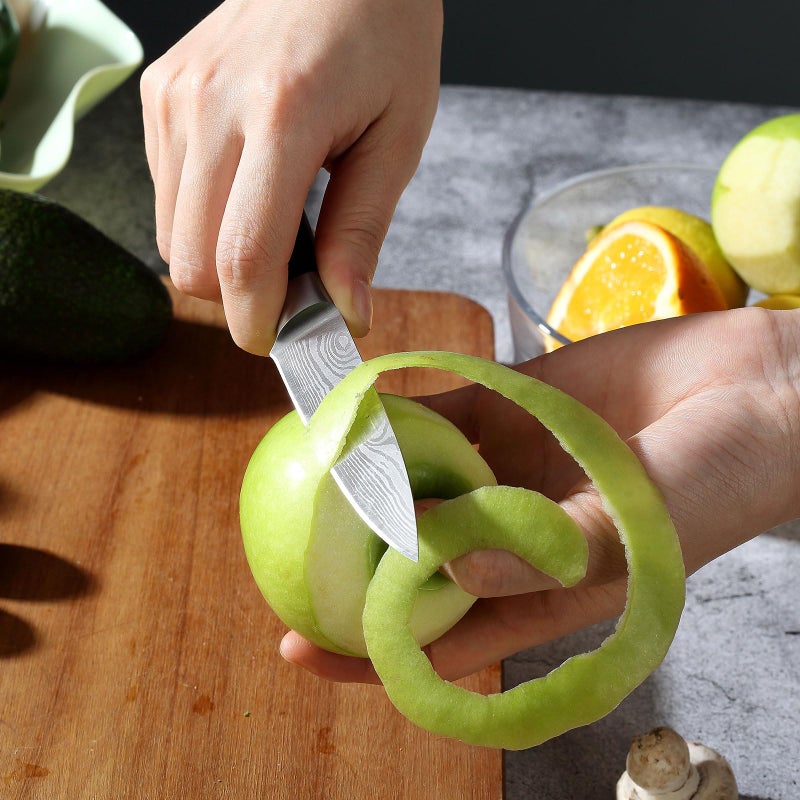 Paudin Paring Knife  3.5 Inch Fruit Knife  High Carbon 5Cr15Mov Stainless Steel Forged Paring Knife  Ultra Sharp Small Kitchen Knife  Ergonomic Wooden Handle With Elegant Gift Box - Image 3