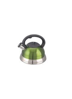Generic 3-liter stainless steel kettle with whistle, green 